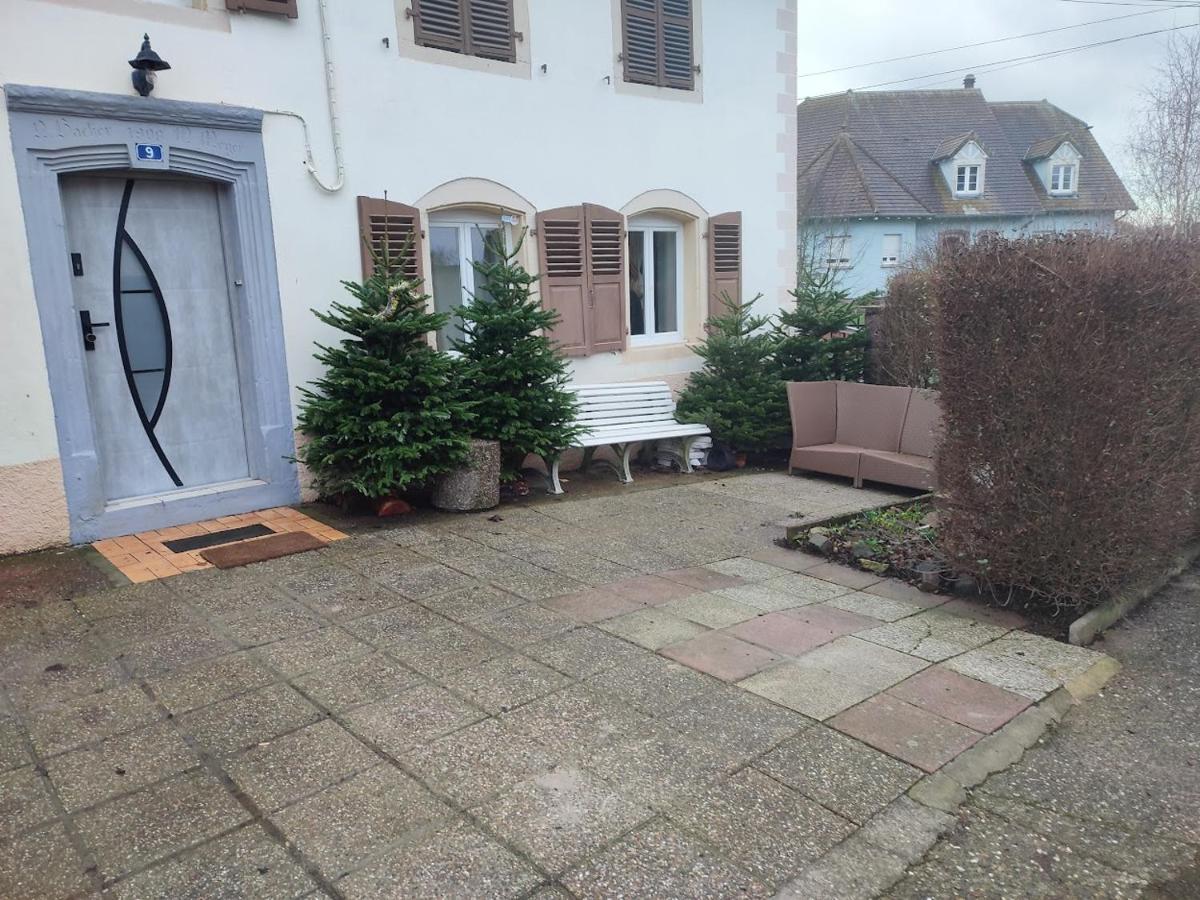 Deplacement Professionnel * Zilling